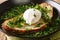 RecipeÂ for this garlicky bread soup Acorda with poached egg close-up in a plate. horizontal